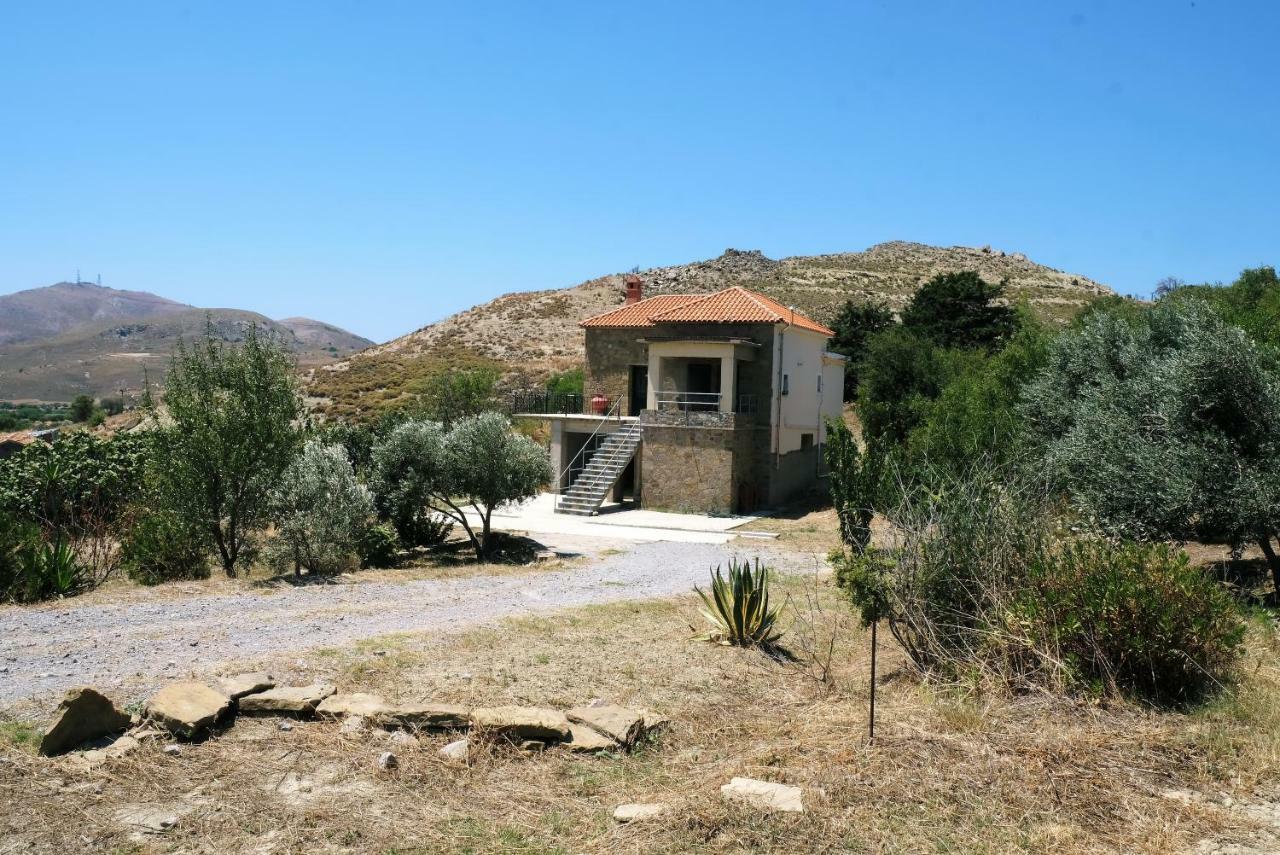 Stone House Of Panos Villa Kornos Dış mekan fotoğraf