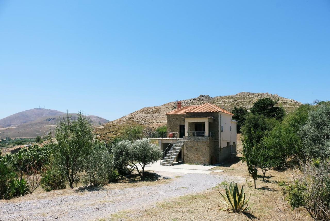Stone House Of Panos Villa Kornos Dış mekan fotoğraf